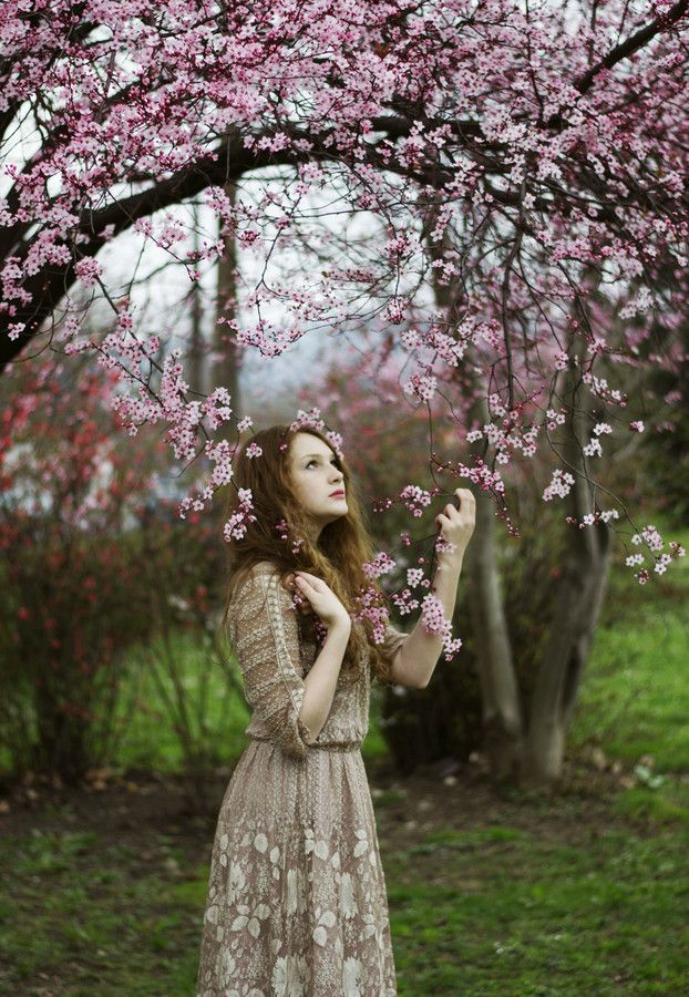 Cô gái chụp ảnh cùng với hoa đào rực rỡ